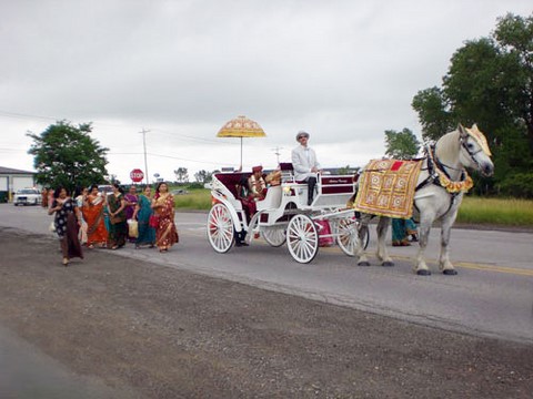 Baraat East Indian Wedding