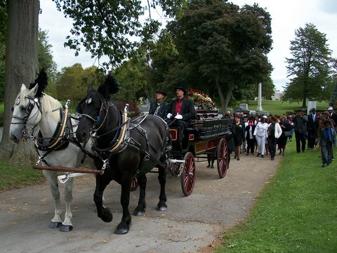 Horse Drawn Funeral Carriage